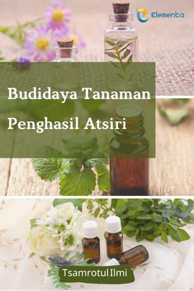 Sampul buku Budidaya Tanaman Pen...